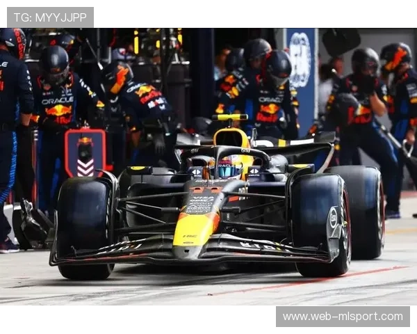 F1车队协作模式带来速度与稳定兼备 F1车队协作模式带来速度与稳定兼备