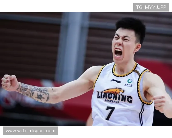 中国篮球用青春拼出未来，中国篮球主题曲