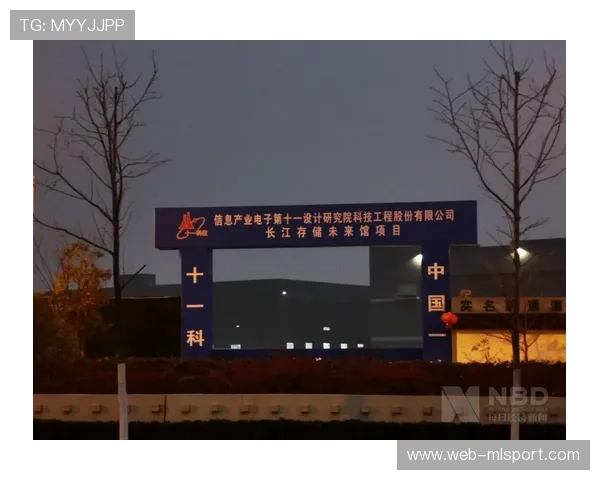 重磅：长江存储母公司改制，资本格局重塑，长江存储控股公司